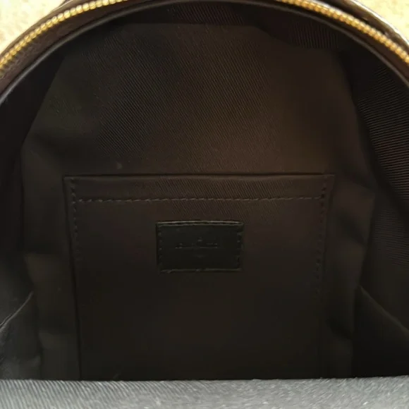 AUTHENTIC Louis Vuitton Palm Springs Mini - Picture 14 of 15